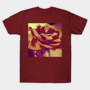 Vintage Rose 024 T-Shirt